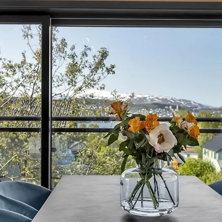 Borealis Luxury * Tromsø